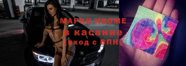 стафф Аркадак