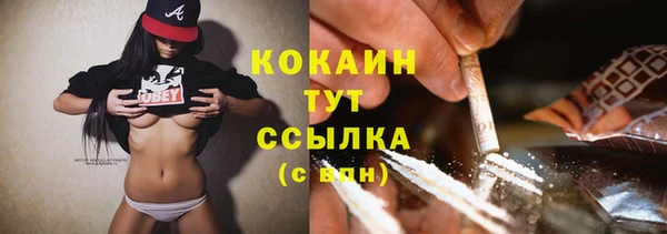стафф Аркадак