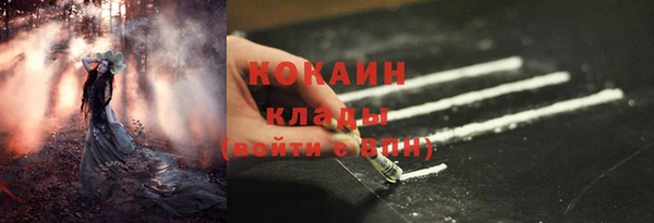 гидра Арсеньев