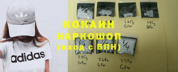 крисы Белокуриха