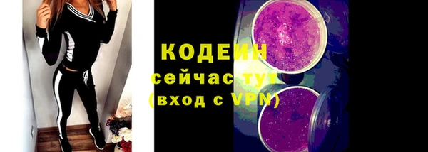 крисы Белокуриха